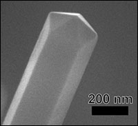CopperNanowire.jpg