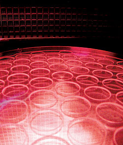 OmegaOpticalvac-table-with-.jpg