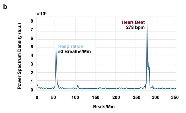 Figure 5. Real-time imaging data on heartbeat (a), respiratory rate (b), and intestinal contractions (c) obtained by Photon etc.’s IR VIVO reflects values found in the literature. Courtesy of Dr. Maria Moreno’s Laboratory at the National Research Council of Canada.