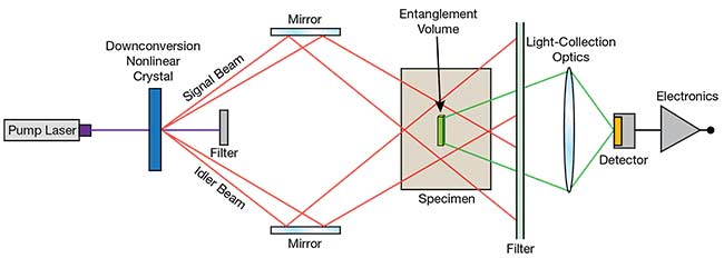 Figure 5. The experimental setup of a quantum two-photon fluorescent scanning microscope. Adapted with permission from Reference 4. Courtesy of Hamamatsu.