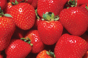 strawberry.jpg