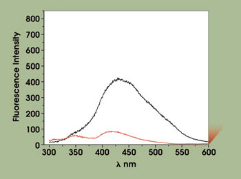 SpectroAmazon_Fig2_Intensit.jpg
