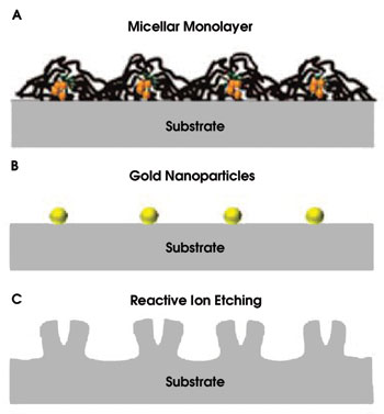 TWOptics_Fig1_micelle-layer.jpg