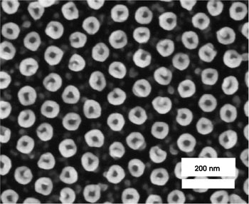 TWOptics_Fig2_pillars.jpg