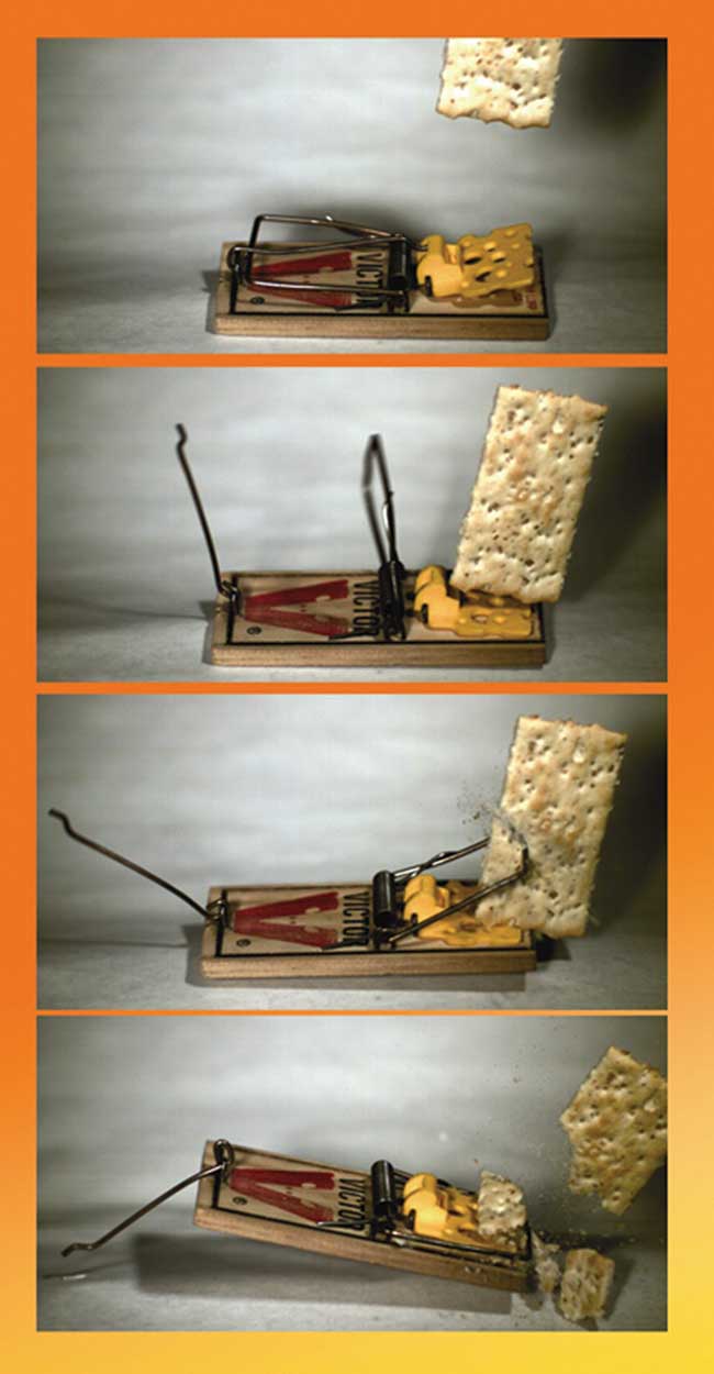 Image sequence of a mousetrap.