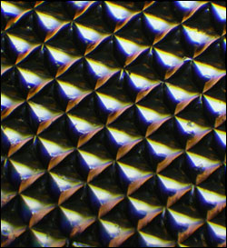 A microscopic image of a silk optical implant created when purified silk protein is poured into molds in the shape of multiple microsized reflectors and then air-dried.