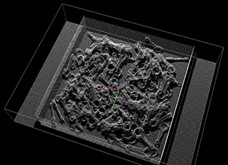 Point cloud generated by Fanuc’s 3D Area Sensor of a bin full of connecting rods. 