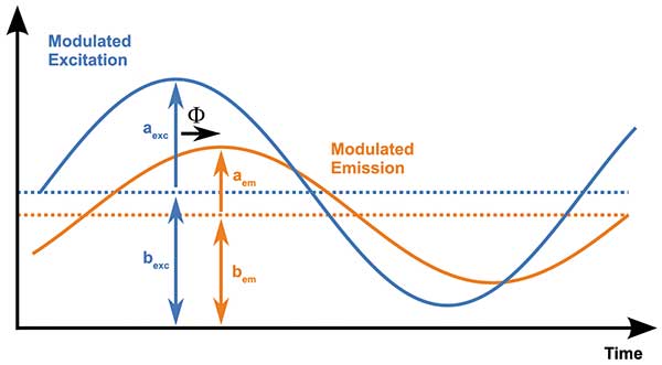 Characteristic parameters describing the involved sinusoidal light signals: excitation amplitude (aexc)and constant part (bexc), emission amplitude (aem) and constant part (bem) and the time delay or phase angle (F). 
