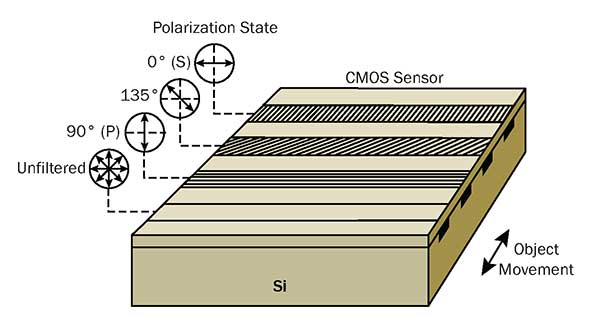  Schematic of Teledyne Dalsa’s Piranha polarization camera sensor architecture.