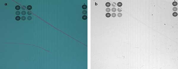 Polarization image (a) compared with a conventional, unfiltered image (b) of a printed circuitry. 