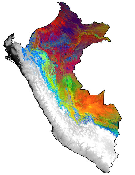 Aerial Spectroscopy Reveals Complex Resource Economies in Peruvian Forests