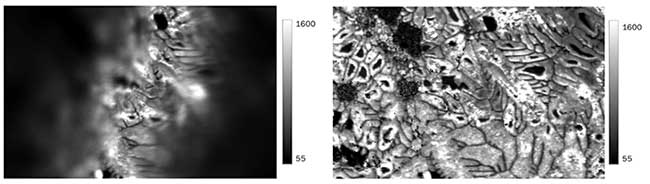 Raman images illustrating the intensity of the graphene 2D band collected from a sample of graphene on copper.