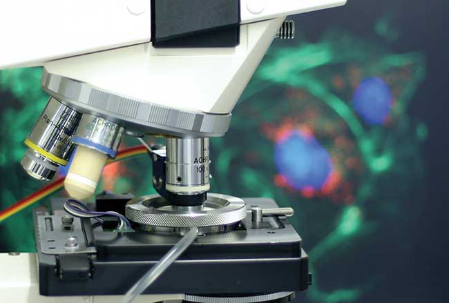 Live-Cell Imaging Thrives With Microenvironment Control Systems