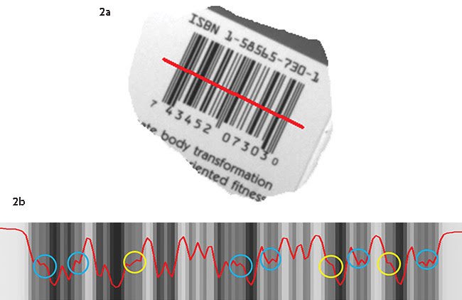 A barcode imaged at a lower resolution (1.2 PPM) enables a wider field of view (a). Bilinear interpolation has been unable to resolve some of the barcode’s finer features (b).