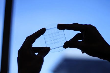Flexible Sensor Holds Potential for Foldable Touchscreens