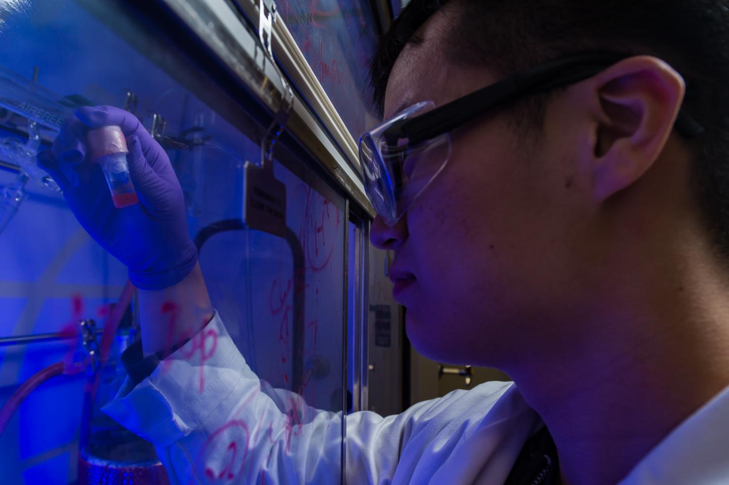 Rice University graduate student Yifan Zhu holds a vial of photosensitive, semiconducting quantum dots the lab uses as a catalyst to make functional synthetic polymers powered by light. Courtesy of Jeff Fitlow/Rice University.
