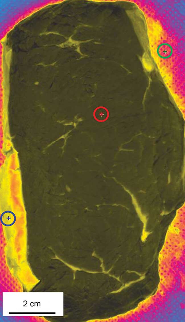 A hyperspectral image of a beef steak.