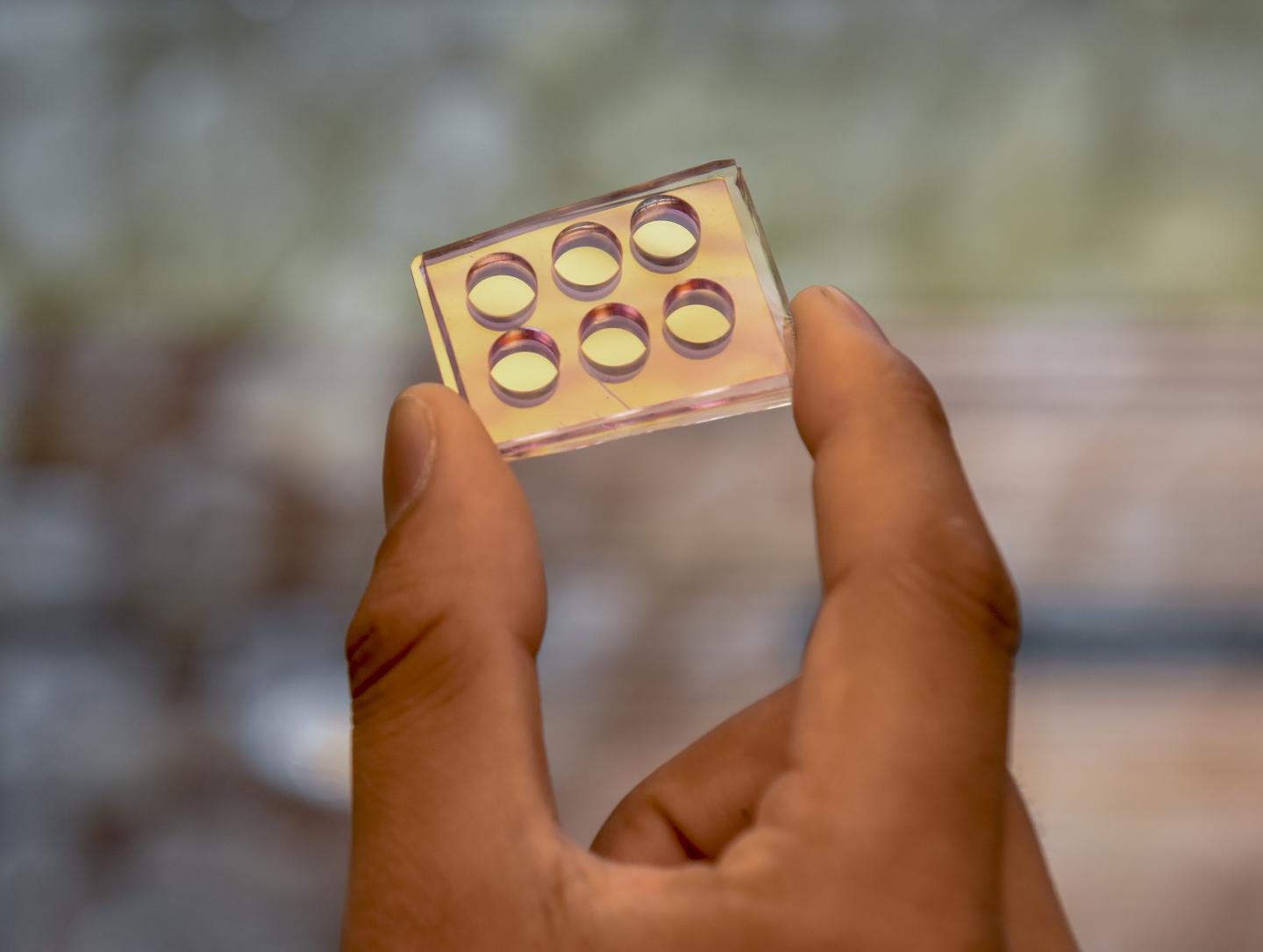 Nanomushroom chip created for testing biofilms. OIST.