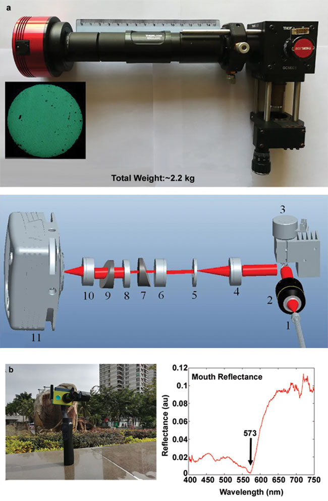 Fuhong Cai’s (Hainan University) spectrometer can be used as a medical endoscope (a), and potentially for oxygenation and perfusion monitoring of the human face (b). 