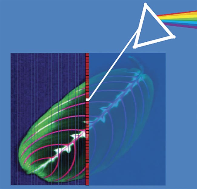 Figure 1. Hyperspectral imaging is spectroscopy for every pixel. Courtesy of Resonon Inc.