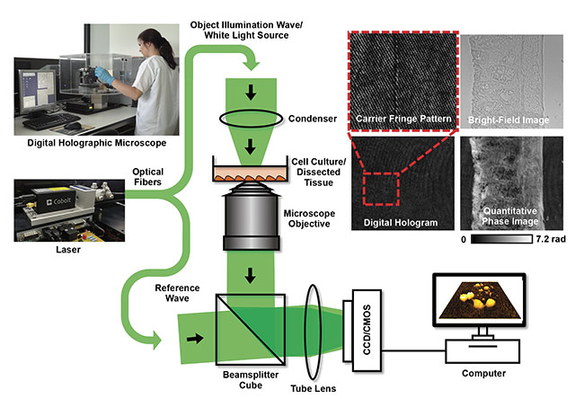 Digital Holographic Microscopy Enhances Cytometry and Histology