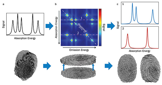 Single-Beam Multidimensional Coherent Spectroscopy