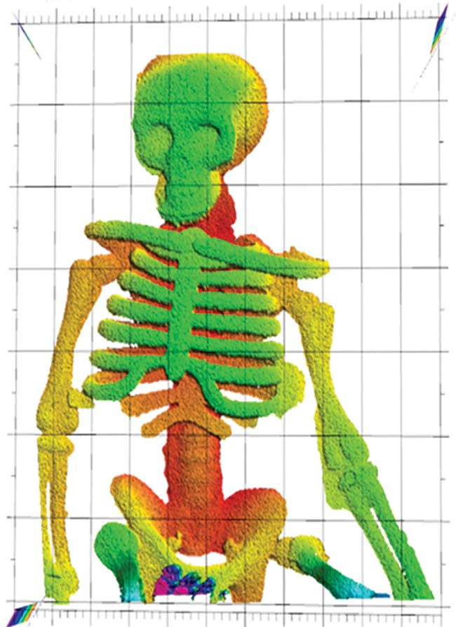 NIST researchers demonstrated that laser ranging could “see through flames” to make this image of a plastic skeleton toy. Laser ranging captured the skeleton’s complex 3D shape, with depth indicated by false color. The plastic did not melt or deform in the fire, unlike pieces of chocolate. Courtesy of Baumann/NIST.