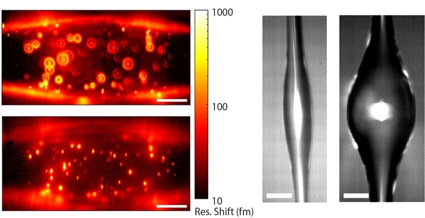 Microresonator Measures and Images Nanoparticles with High Degree of Sensitivity