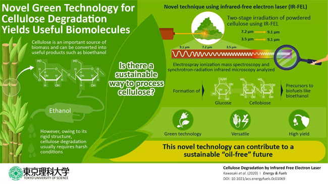 A novel laser-based strategy for the effective degradation of cellulose into useful products. Courtesy of Tokyo University of Science.