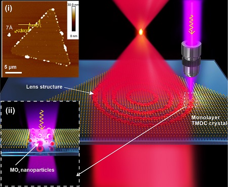 Schematic of femtosecond laser fabrication of a monolayer TMDC lens. Inset: (i) AFM image of a monolayer TMDC single crystal, and (ii) Schematic of femtosecond laser-induced generation of MOx nanoparticles. Courtesy of Han Lin et al.