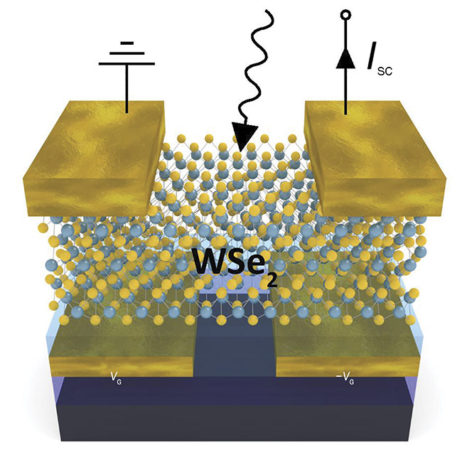 Vienna University of Technology’s Thomas Müller developed individually tunable tungsten diselenide (WSe2) photodiodes that respond to light proportionately and can act as an artificial neural network. SC: semiconductor; VG/-VG: voltage pair. Courtesy of Vienna University of Technology.