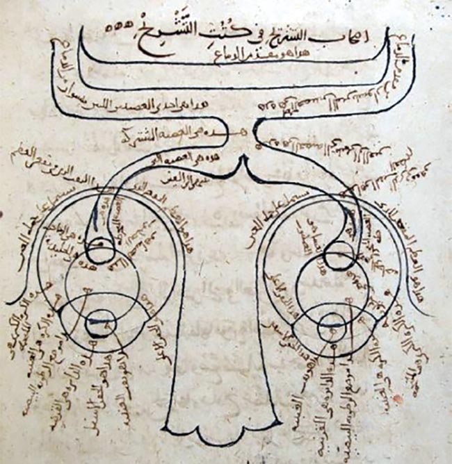 Ibn al-Haytham’s diagram of the structure of the human eye, as found in the Book of Optics. Courtesy of Kitab al-Manazir, Süleimaniye Mosque Library, Istanbul.