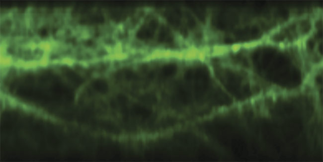 Multiphoton brain imaging, enabled by free-space angular-chirp-enhanced delay (FACED), reveals the signal patterns of glutamate, an excitatory neurotransmitter released by nerve cells in the brain. Courtesy of Kevin Tsia/The University of Hong Kong.