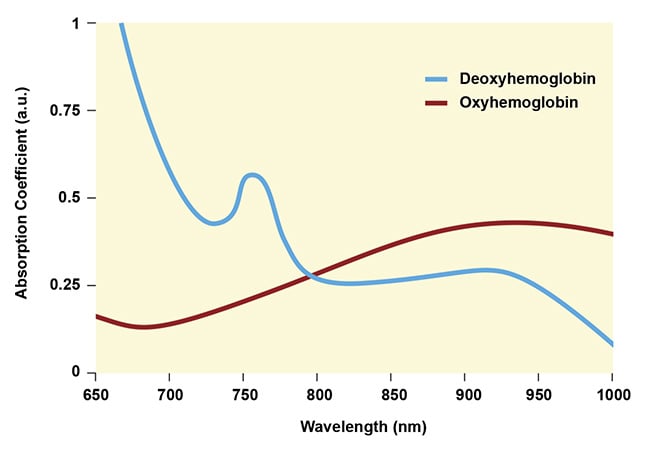 Figure 1. Absorption spectra for oxygenated and deoxygenated hemoglobin. Courtesy of MKS Instruments.