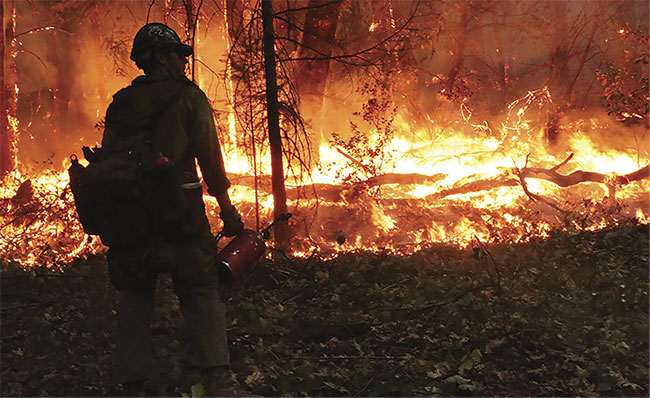 A firefighter at the 2018 Delta fire near Lakehead, Calif., in the Shasta-Trinity National Forest. Courtesy of U.S. Forest Service.