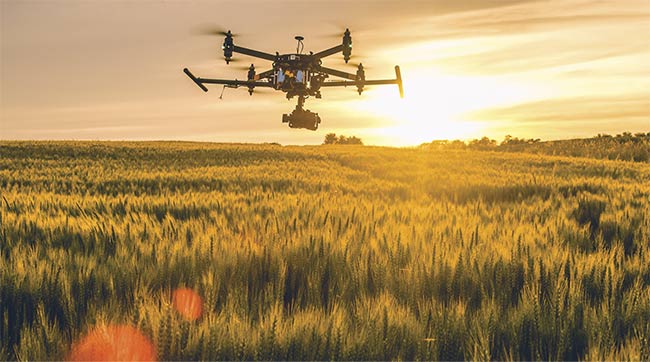  A drone detects crop conditions using a vision camera. Courtesy of iENSO.
