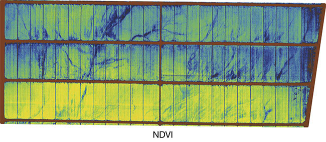 Drones and manned planes equipped with red- and NIR-optimized, high-vibration-resistant lenses are increasingly used for normalized difference vegetation index (NDVI) analysis of farmland. Courtesy of MORITEX North America.