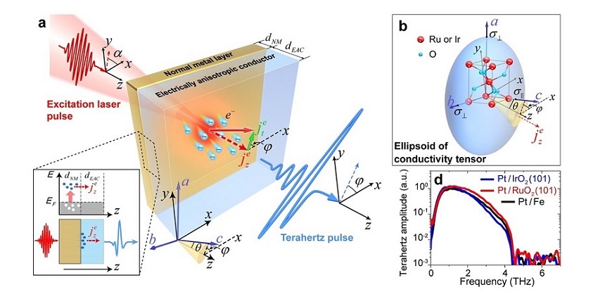 The researchers developed a nonrelativistic mechanism for THz pulse formation using an electrically anisotropic, conductor-based heterostructure. (a): Ellipsoid of the conductivity tensor of the anisotropic conductors RuOsub2/sub and IrOsub2/sub. (b): Characterization of the generated pulse (c and d). Courtesy of Zhang, Cui, Wang, et al., doi: 10.1117/1.AP.5.5.056006.