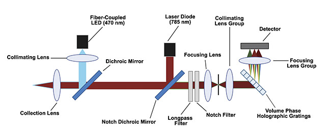 The design of a Raman multimodal instrument developed by a collaboration between Wasatch Photonics and Texas A&M University. Courtesy of Wasatch Photonics.