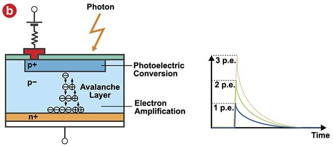 Figure 3. The structure of a silicon photomultiplier (SiPM) sensor and its input-output characteristics. An SiPM is comprised of multipixel avalanche photodiodes (a). When multiple photons are incident simultaneously, the output signal is the sum of the avalanche photodiode signal (b). Courtesy of Evident Scientific.