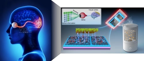 Tunable Photomemristor Streamlines Neuromorphic Vision Processing