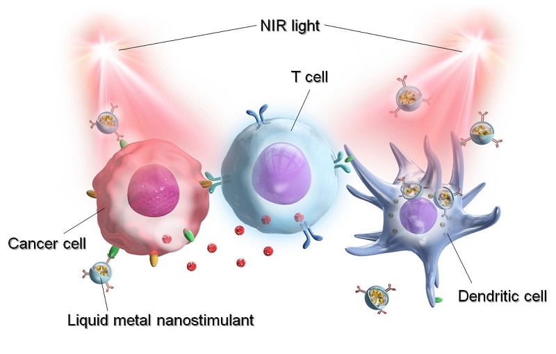 Light-Triggered Particles Deliver Photoimmunotherapy for Cancer