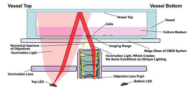 Figure 1. An illustration of the epi-oblique illumination method. Courtesy of Evident Scientific.