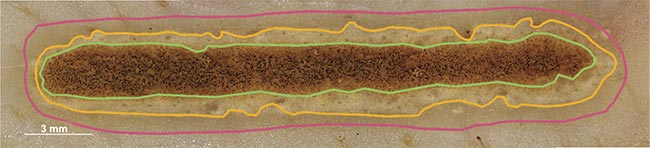 Figure 3. Characterization of one of the damaged areas by the thermal discoloration that has occurred. Courtesy of Florian Treiber/WHZ.