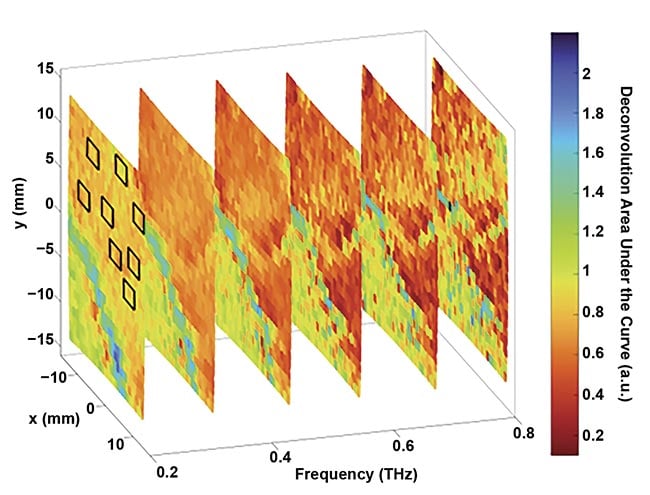 Figure 1. The deconvolution of characteristics captured in tissue in the terahertz range. Courtesy of Hassan Arbab/Stony Brook University.