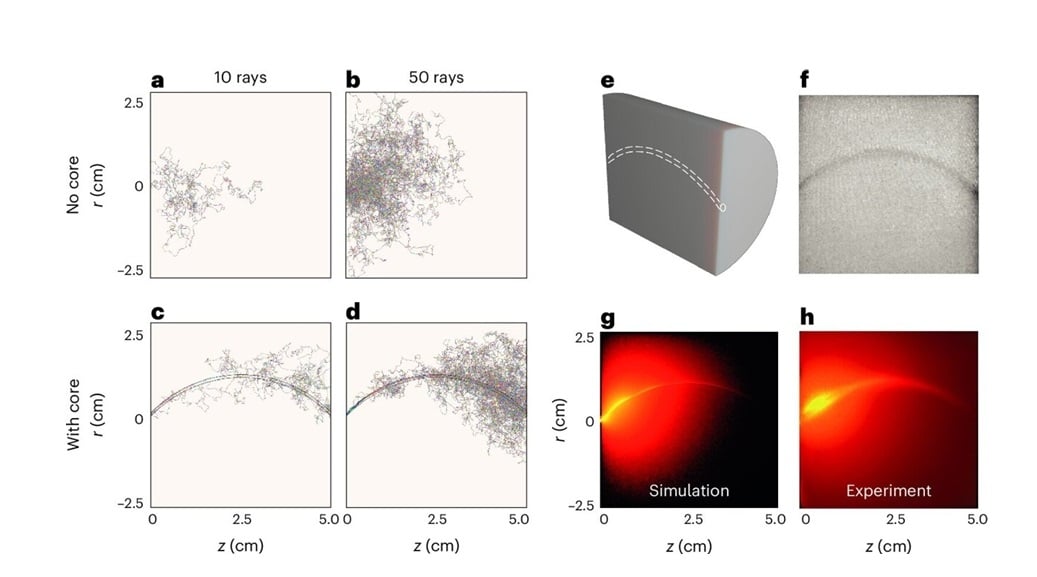 Photon density modes in bent waveguides. Courtesy of Nature Physics (2024). DOI: 10.1038/s41567-024-02665-z.