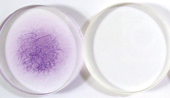 Figure 6. Deluxe polished ?2? earlier-generation material  and laser durable grade calcium fluoride (CaF2) after 3-h x-ray exposure.