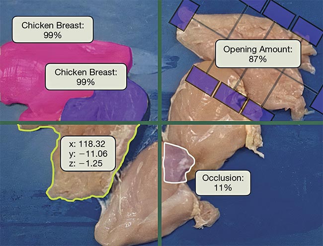 AI-enabled software can help singulate individual items, such as pieces of poultry, from bulk. Courtesy of Oxipital AI.