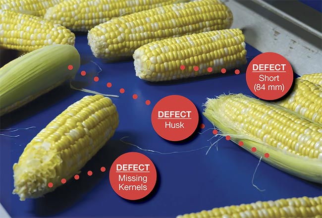 While providing visual guidance for the robot to make a pick, an AI-enabled system can also identify defects. Courtesy of Oxipital AI.