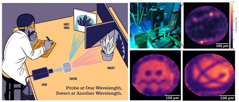 Principles of quantum ghost imaging (QGI). Top: Sorghum plant and quantum ghost microscope image of a live sorghum leaf. Bright spots are rows of stomata. Bottom: Binary test targets, including a ghost from Pac-Man and the Los Alamos National Laboratory (LANL) logo. Courtesy of Paul Ziomek, visual designer, and Duncan Ryan, scientist, Los Alamos National Laboratory.